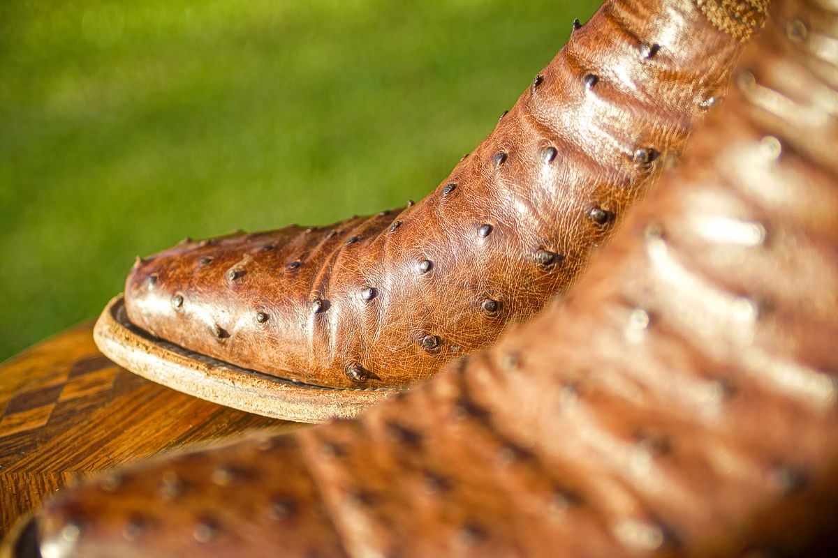 Photo by thenewreligion on March 5, 2025 of the Self-Made Cowboy Boot in Kango Tobac Ostrich.