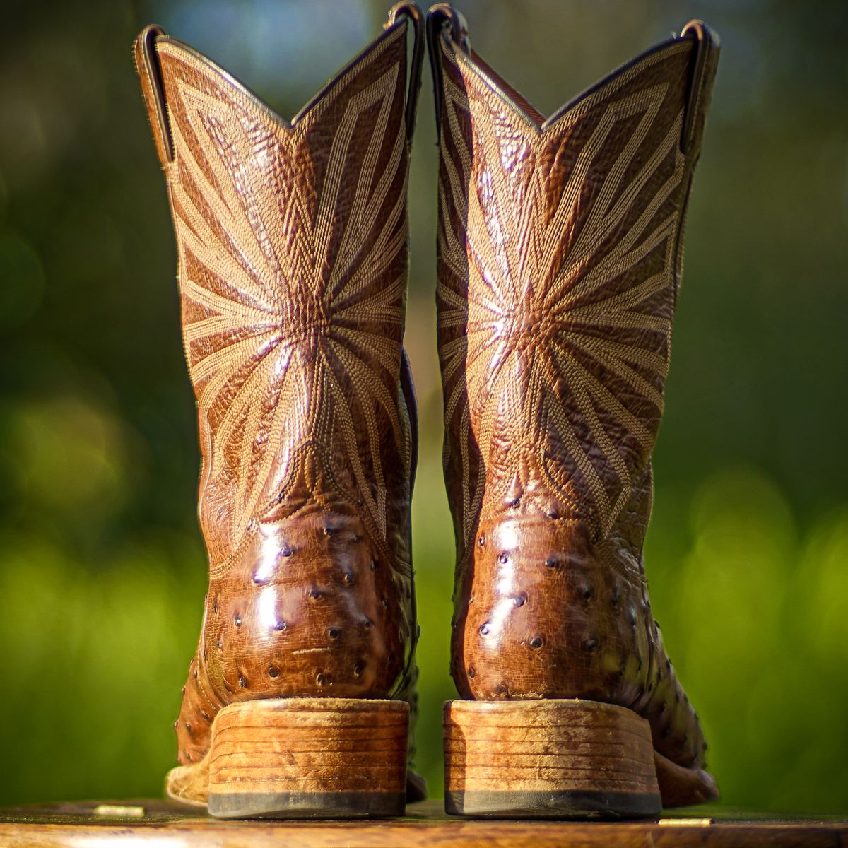 Photo by thenewreligion on March 5, 2025 of the Self-Made Cowboy Boot in Kango Tobac Ostrich.