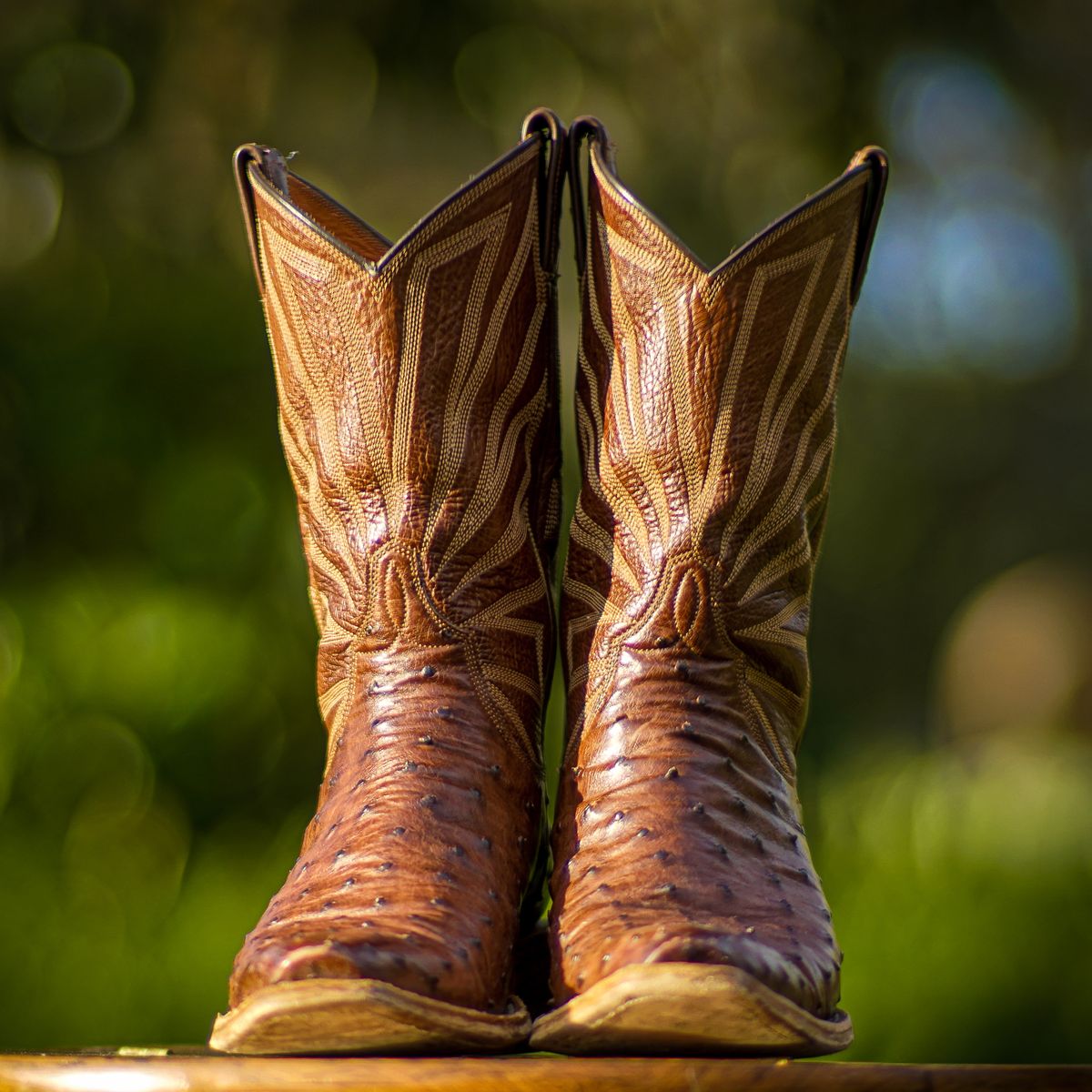 Photo by thenewreligion on March 5, 2025 of the Self-Made Cowboy Boot in Kango Tobac Ostrich.