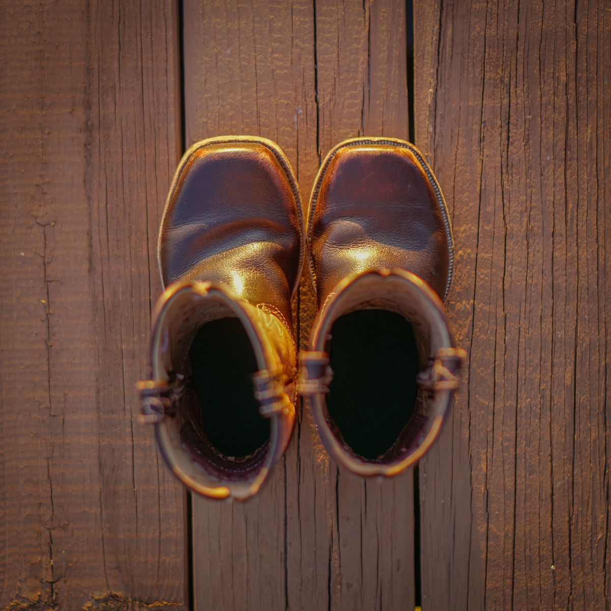 Photo by thenewreligion on December 5, 2024 of the Self-Made Cowboy Boot in Water Buffalo.