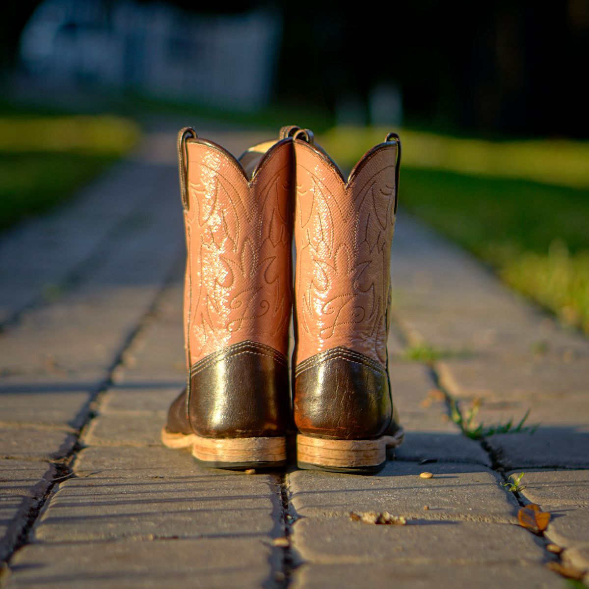 Photo by thenewreligion on January 3, 2025 of the Self-Made Cowboy Boot in Water Buffalo.
