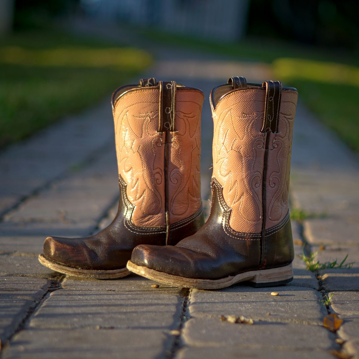 Photo by thenewreligion on January 3, 2025 of the Self-Made Cowboy Boot in Water Buffalo.