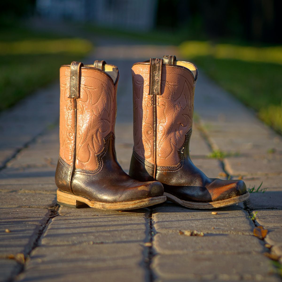 Photo by thenewreligion on January 3, 2025 of the Self-Made Cowboy Boot in Water Buffalo.