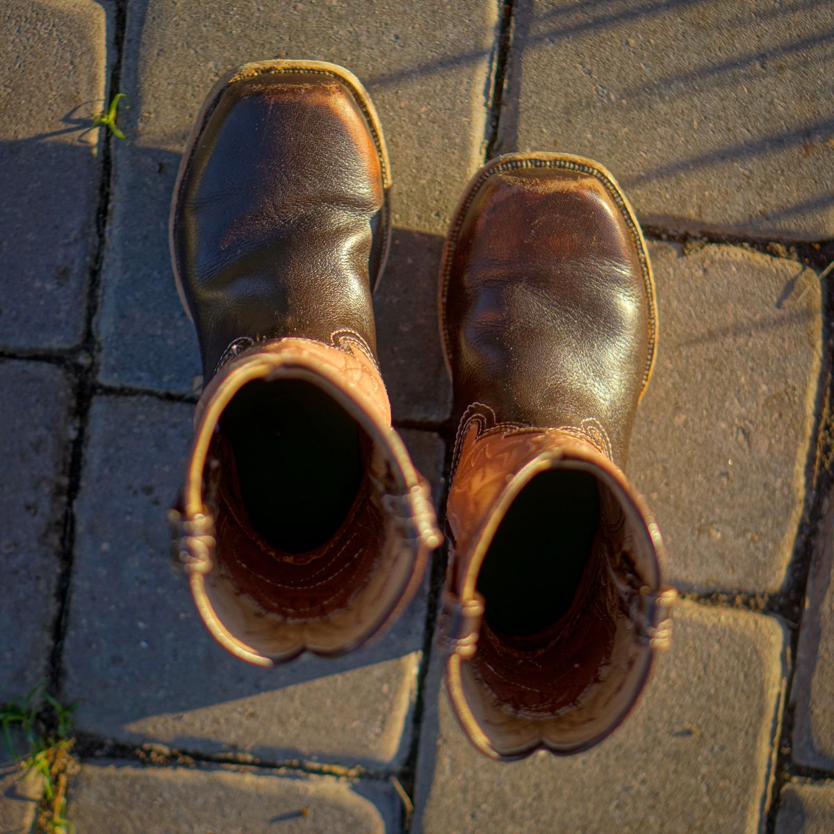 Photo by thenewreligion on January 3, 2025 of the Self-Made Cowboy Boot in Water Buffalo.