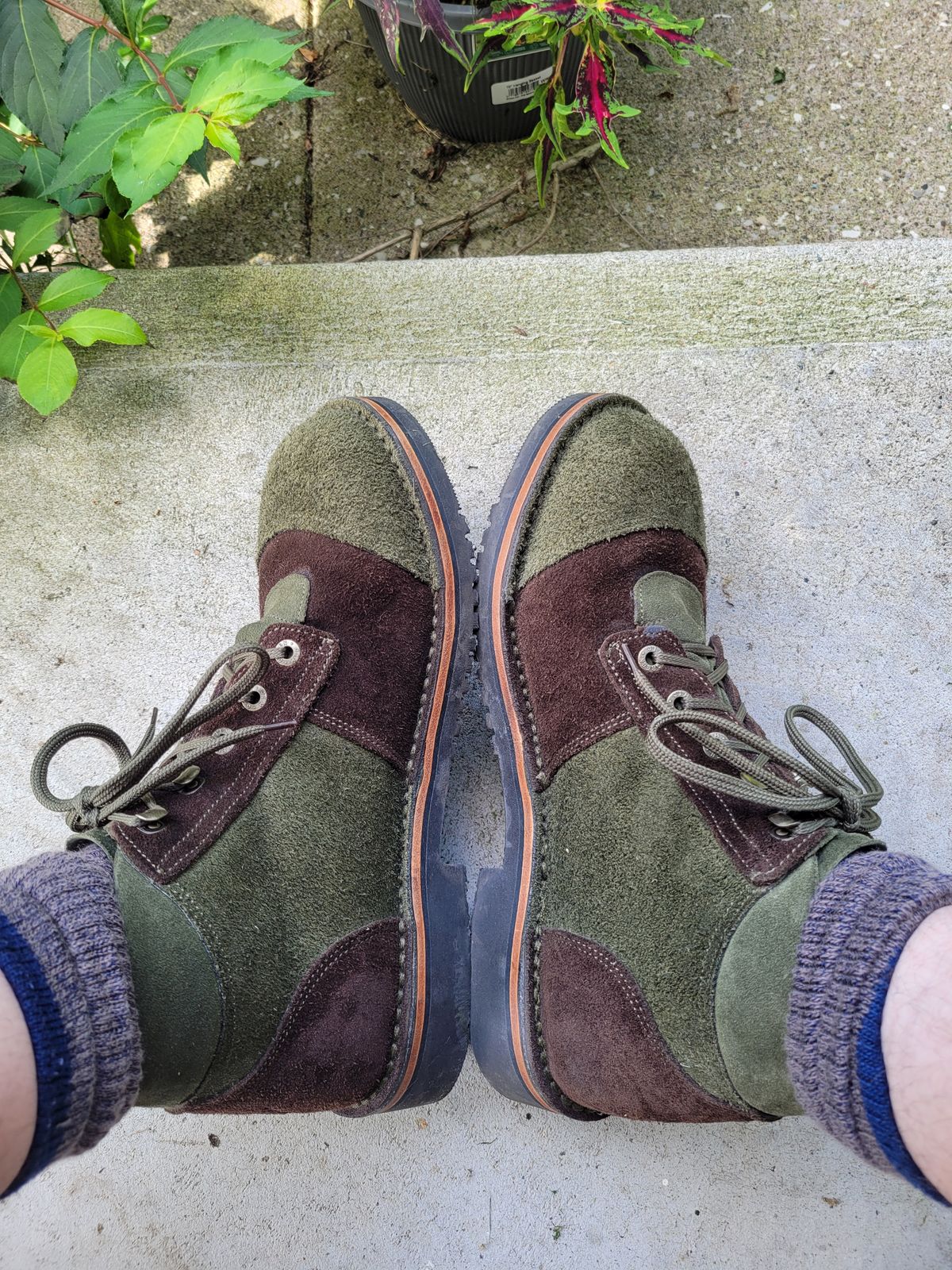 Photo by GrantR on August 29, 2025 of the Jim Green African Ranger in Jim Green / Rough Out Houston Green & Jim Green / Rough Out Houston Brown.