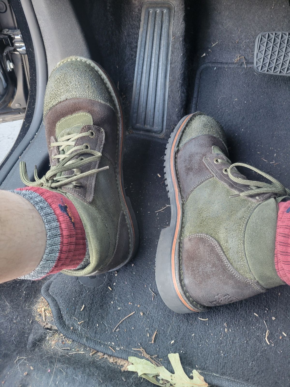 Photo by GrantR on September 12, 2025 of the Jim Green African Ranger in Jim Green / Rough Out Houston Green & Jim Green / Rough Out Houston Brown.