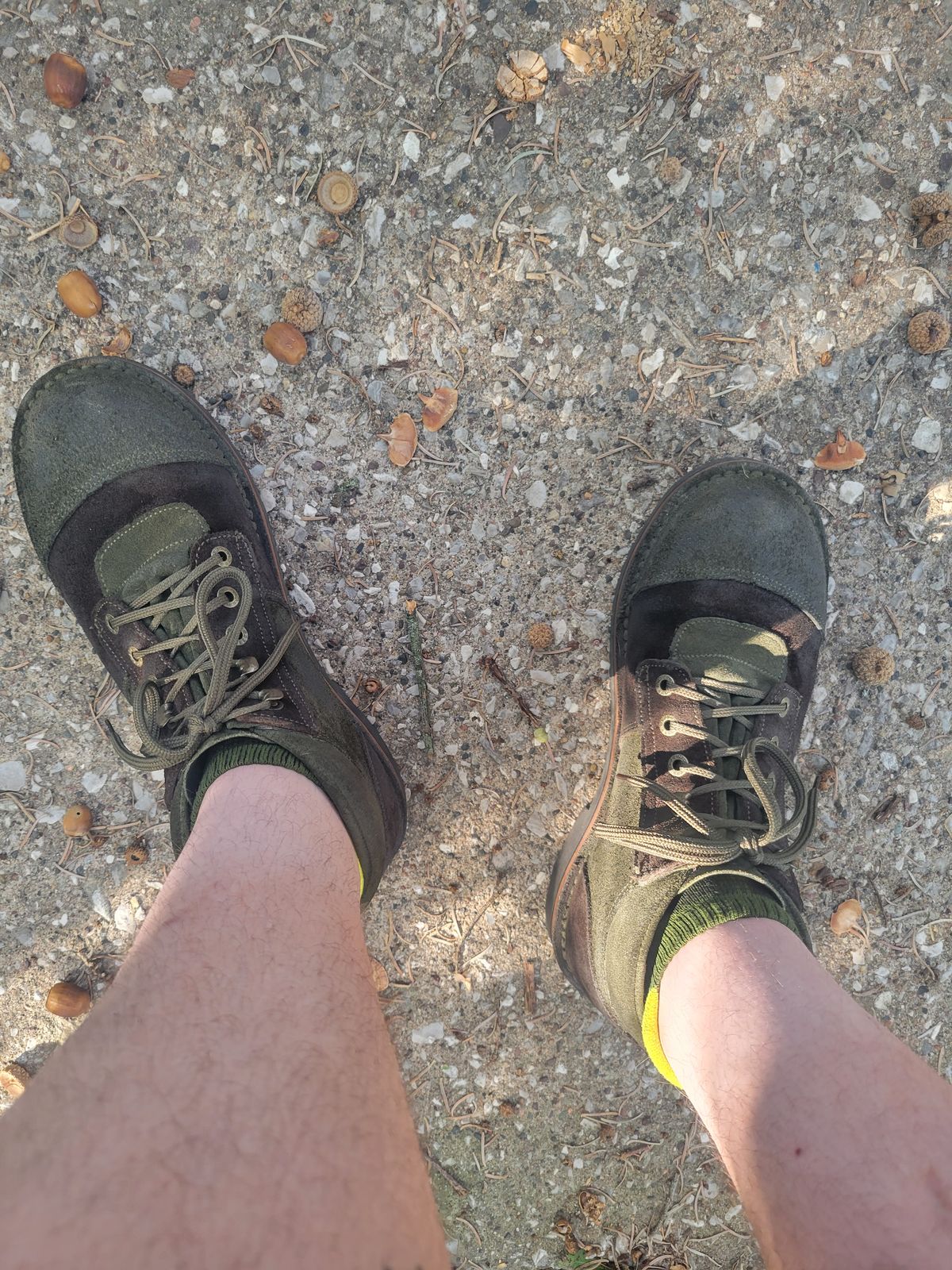 Photo by GrantR on September 18, 2025 of the Jim Green African Ranger in Jim Green / Rough Out Houston Green & Jim Green / Rough Out Houston Brown.