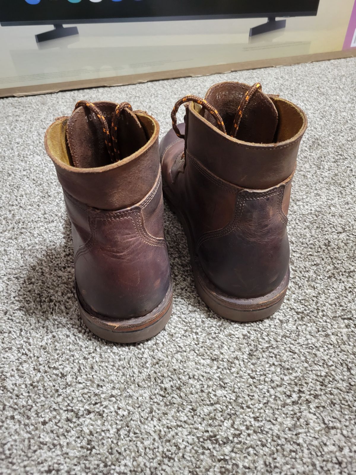 Photo by GrantR on October 28, 2025 of the Jim Green Numzaan in Jim Green / Pull - Up Bronco.