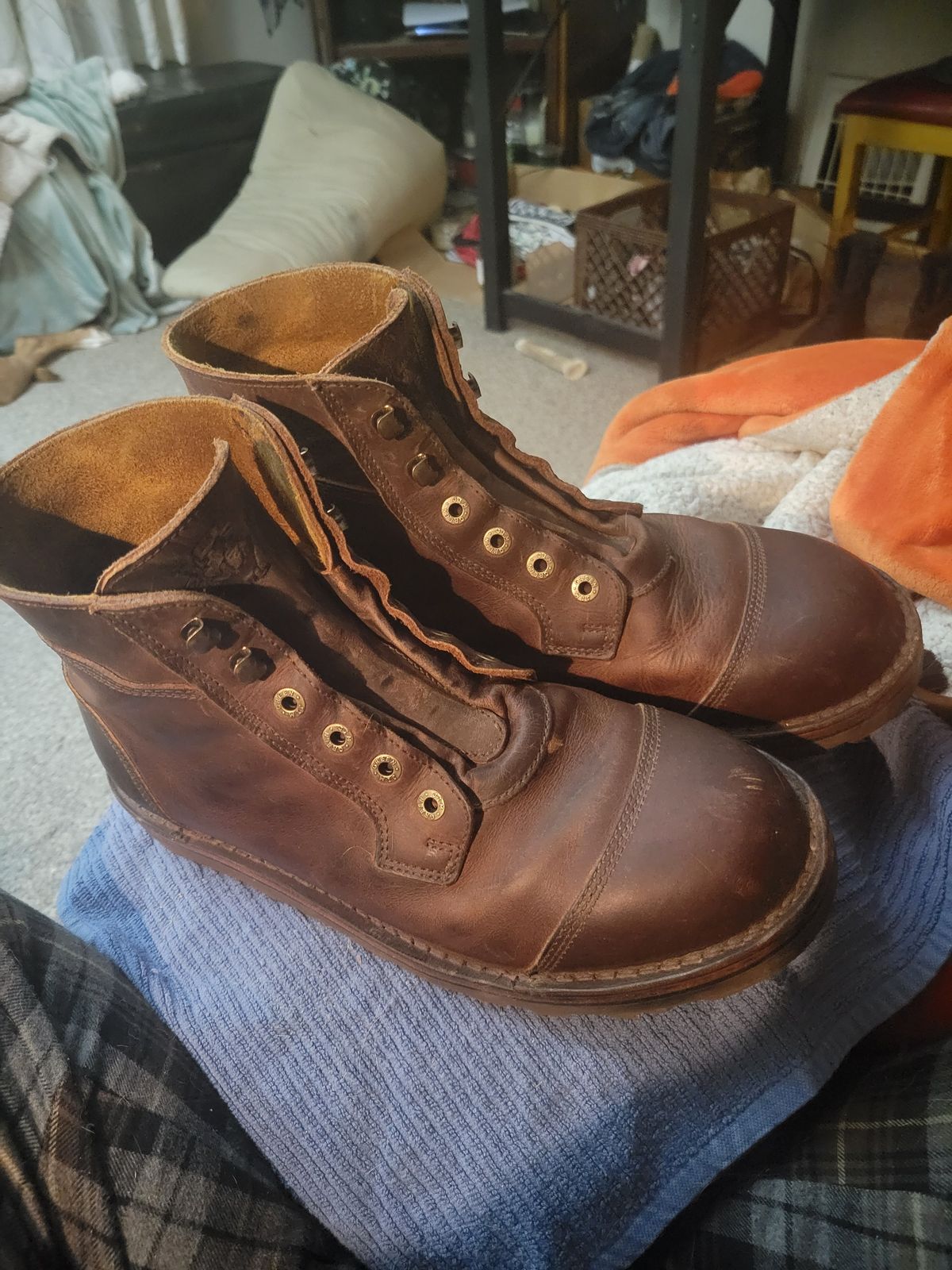 Photo by GrantR on December 6, 2025 of the Jim Green Numzaan in Jim Green / Pull - Up Bronco.