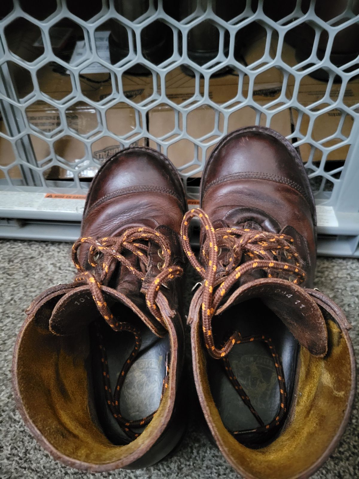 Photo by GrantR on December 16, 2025 of the Jim Green Numzaan in Jim Green / Pull - Up Bronco.