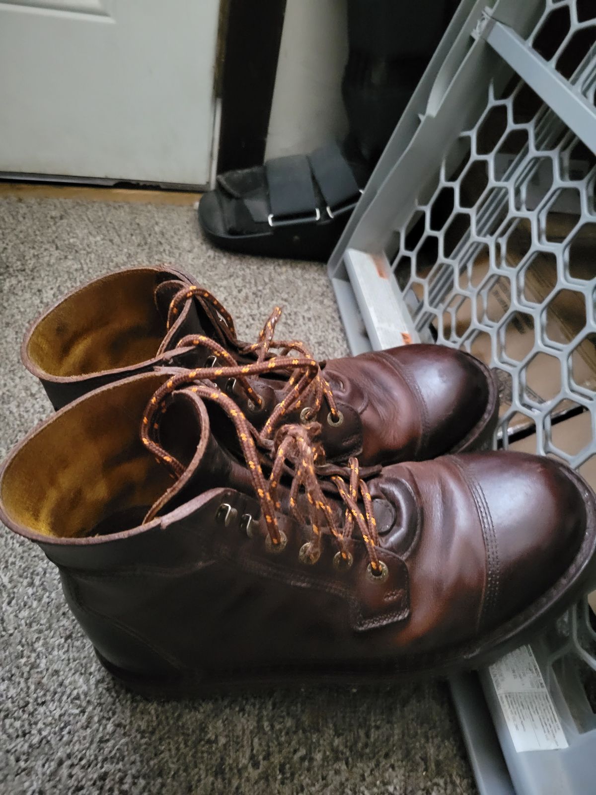 Photo by GrantR on December 16, 2025 of the Jim Green Numzaan in Jim Green / Pull - Up Bronco.