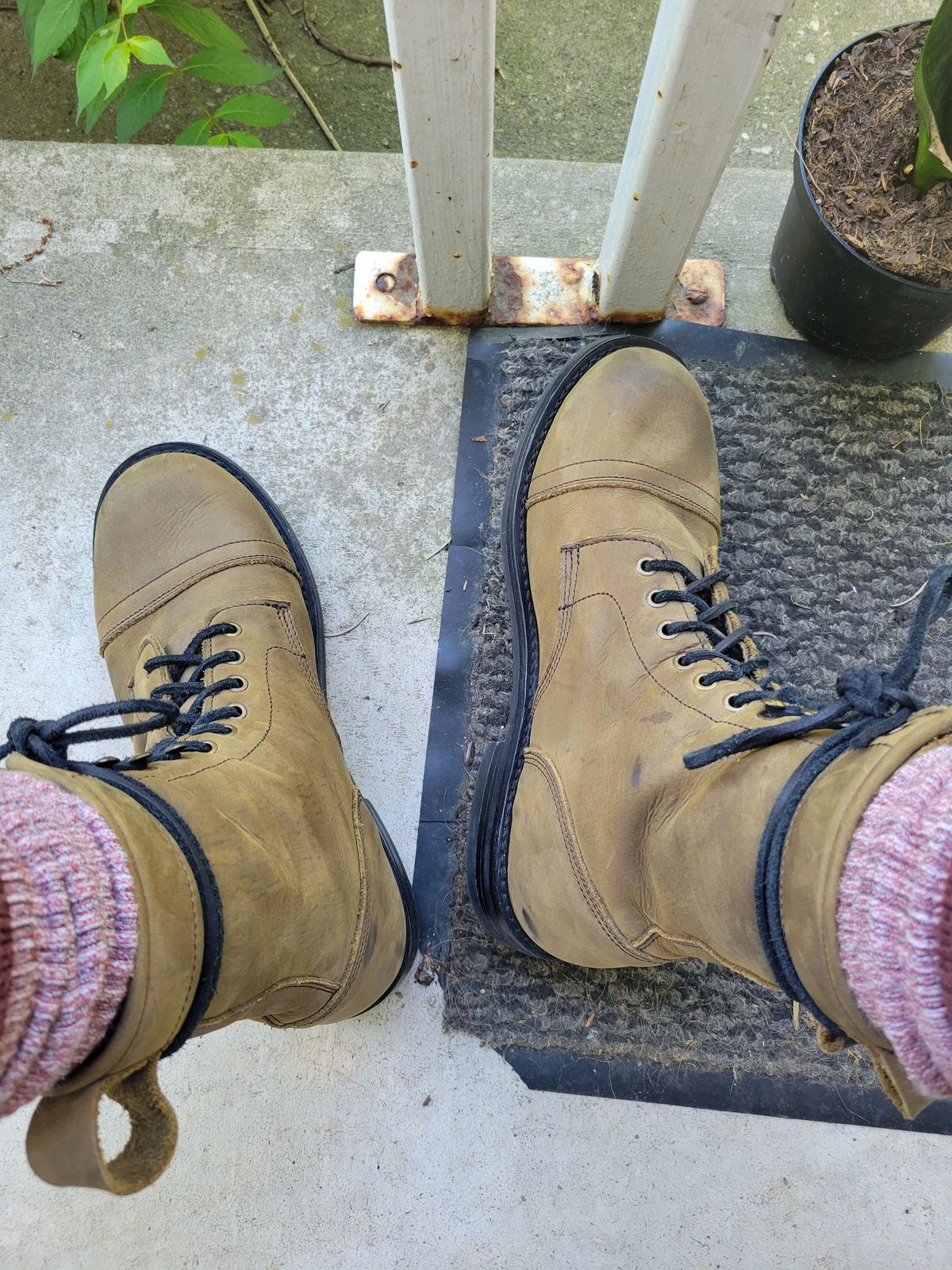 Photo by GrantR on June 15, 2026 of the Urban Wolf Club Axeman 10 Eyelet in Crazy Horse Olive Green.