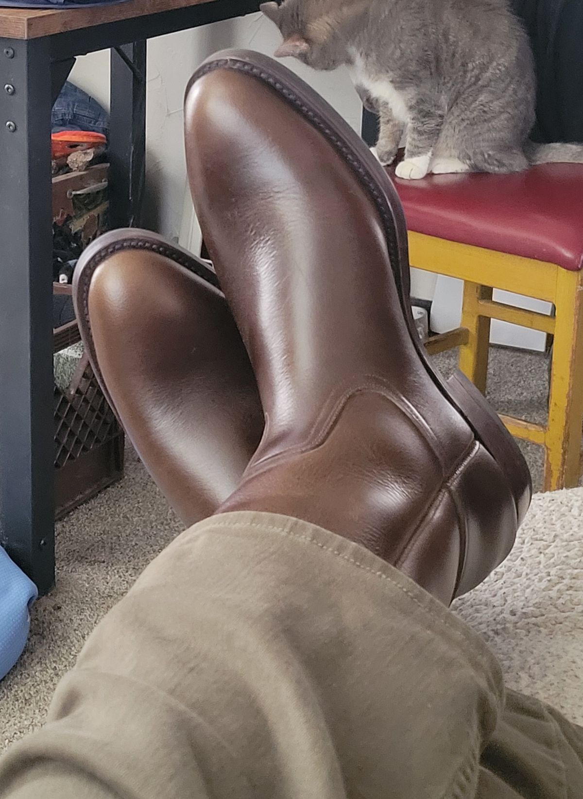 Photo by GrantR on January 29, 2026 of the Unmarked Unmarked / Lechuguera in Unmarked / "Super Heavy" Dark Brown Pull-up.