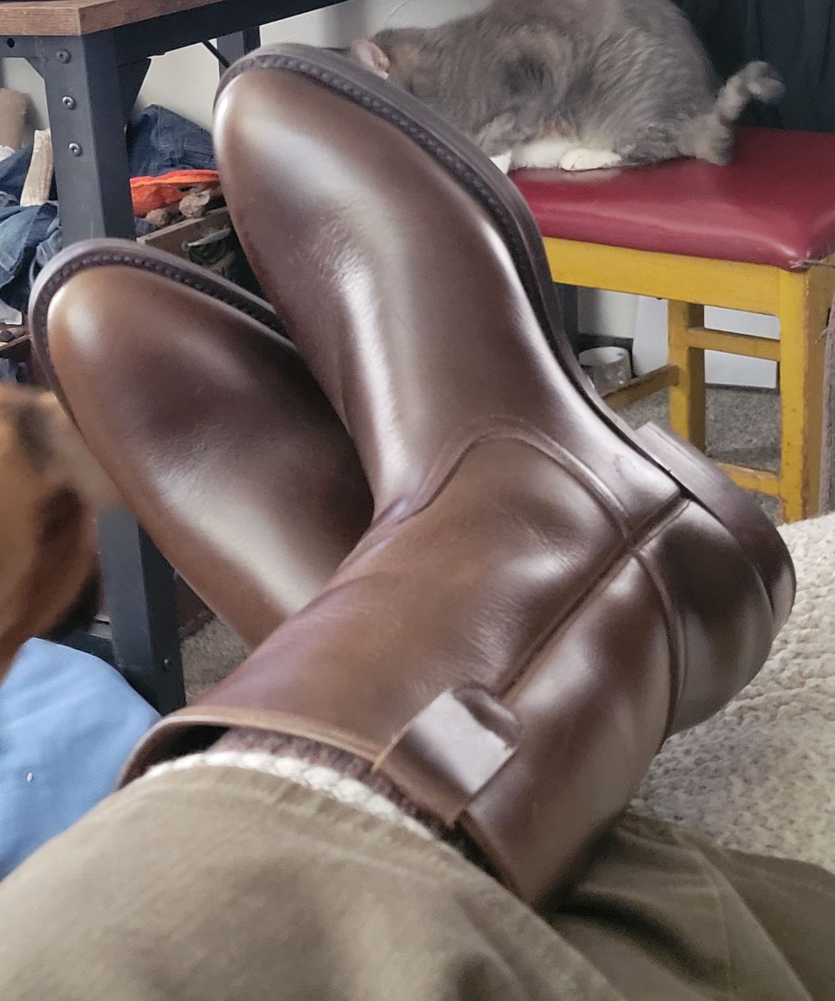 Photo by GrantR on January 29, 2026 of the Unmarked Unmarked / Lechuguera in Unmarked / "Super Heavy" Dark Brown Pull-up.