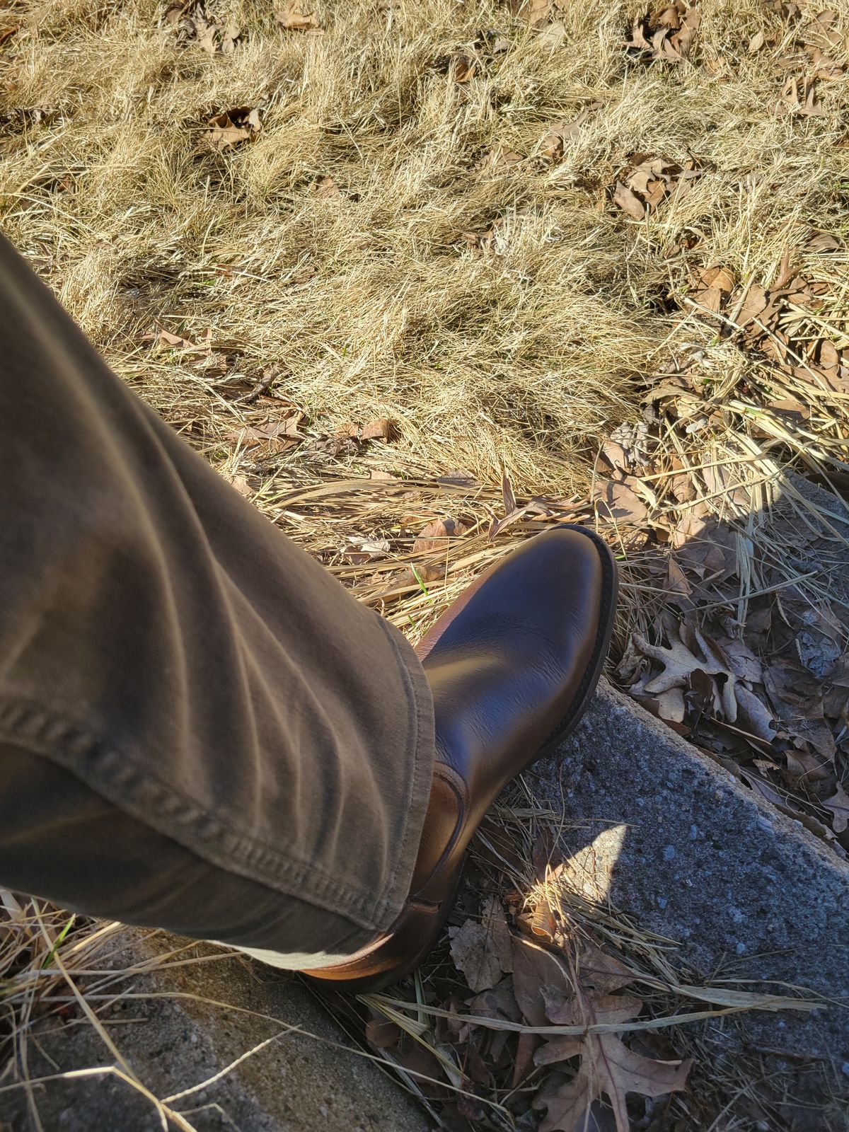 Photo by GrantR on March 9, 2026 of the Unmarked Unmarked / Lechuguera in Unmarked / "Super Heavy" Dark Brown Pull-up.