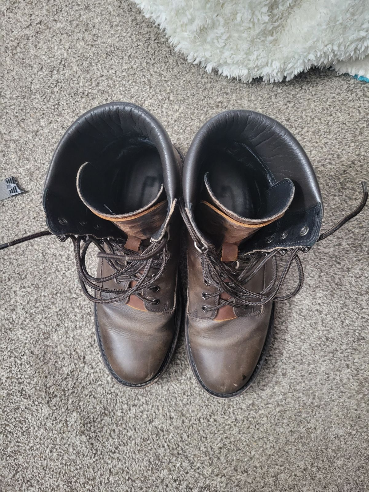 Photo by GrantR on February 20, 2026 of the Thursday Explorer in Thursday / Jasper.