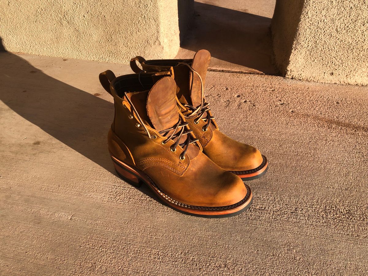 Photo by zeus on February 5, 2022 of the Nicks Robert in Horween Orange Predator.