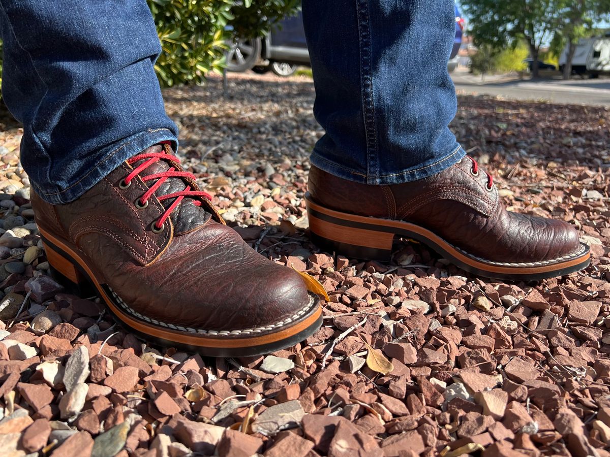 Photo by zeus on October 1, 2024 of the Frank's Boots Front Range in Seidel Walnut Mastodon Bison.