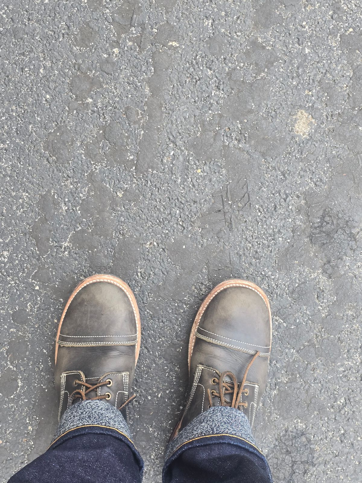 Photo by njjones9000 on December 4, 2025 of the Urban Wolf Club Thompson in Lefarc Black Bitone Teacore.