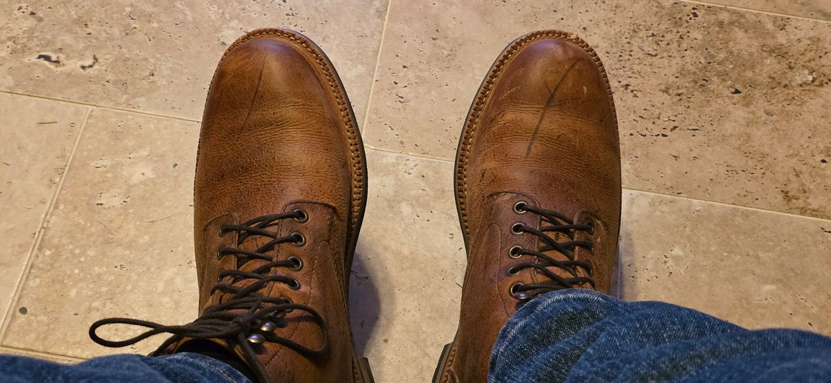 Photo by mknewman on October 20, 2025 of the Parkhurst The Allen in C.F. Stead Anise Kudu.