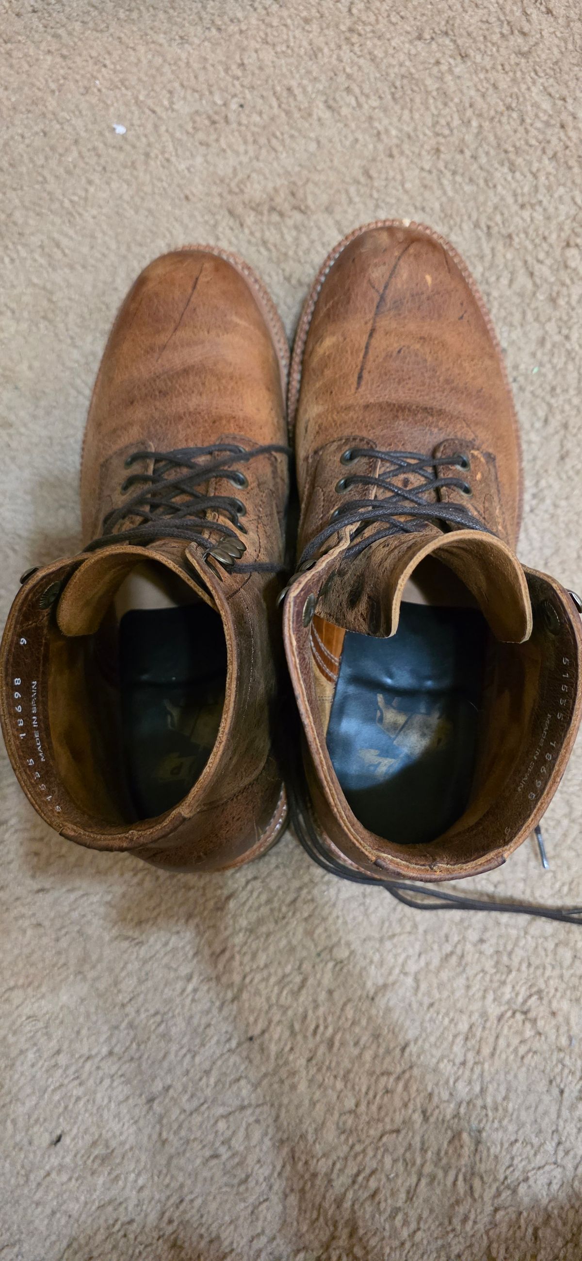 Photo by mknewman on October 24, 2025 of the Parkhurst The Allen in C.F. Stead Anise Kudu.