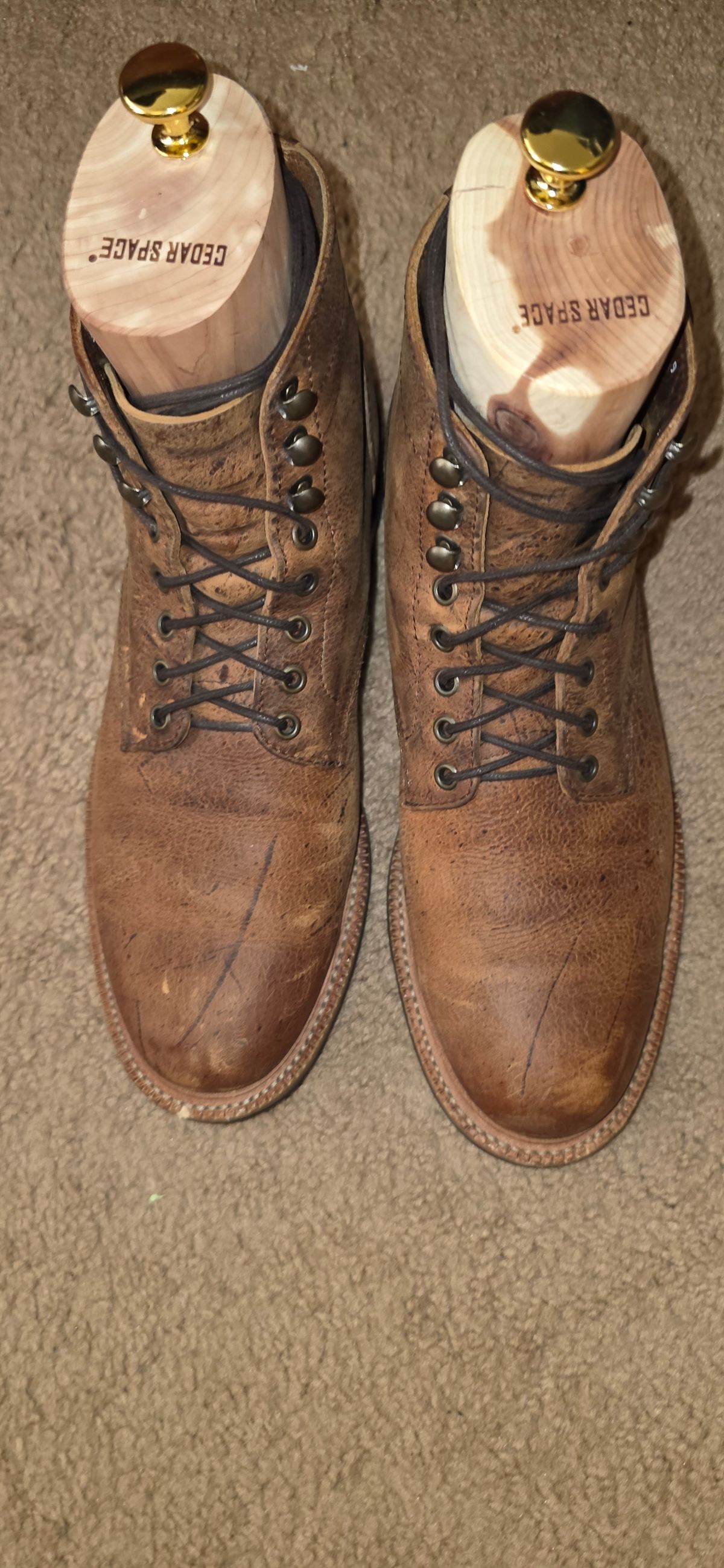 Photo by mknewman on October 31, 2025 of the Parkhurst The Allen in C.F. Stead Anise Kudu.