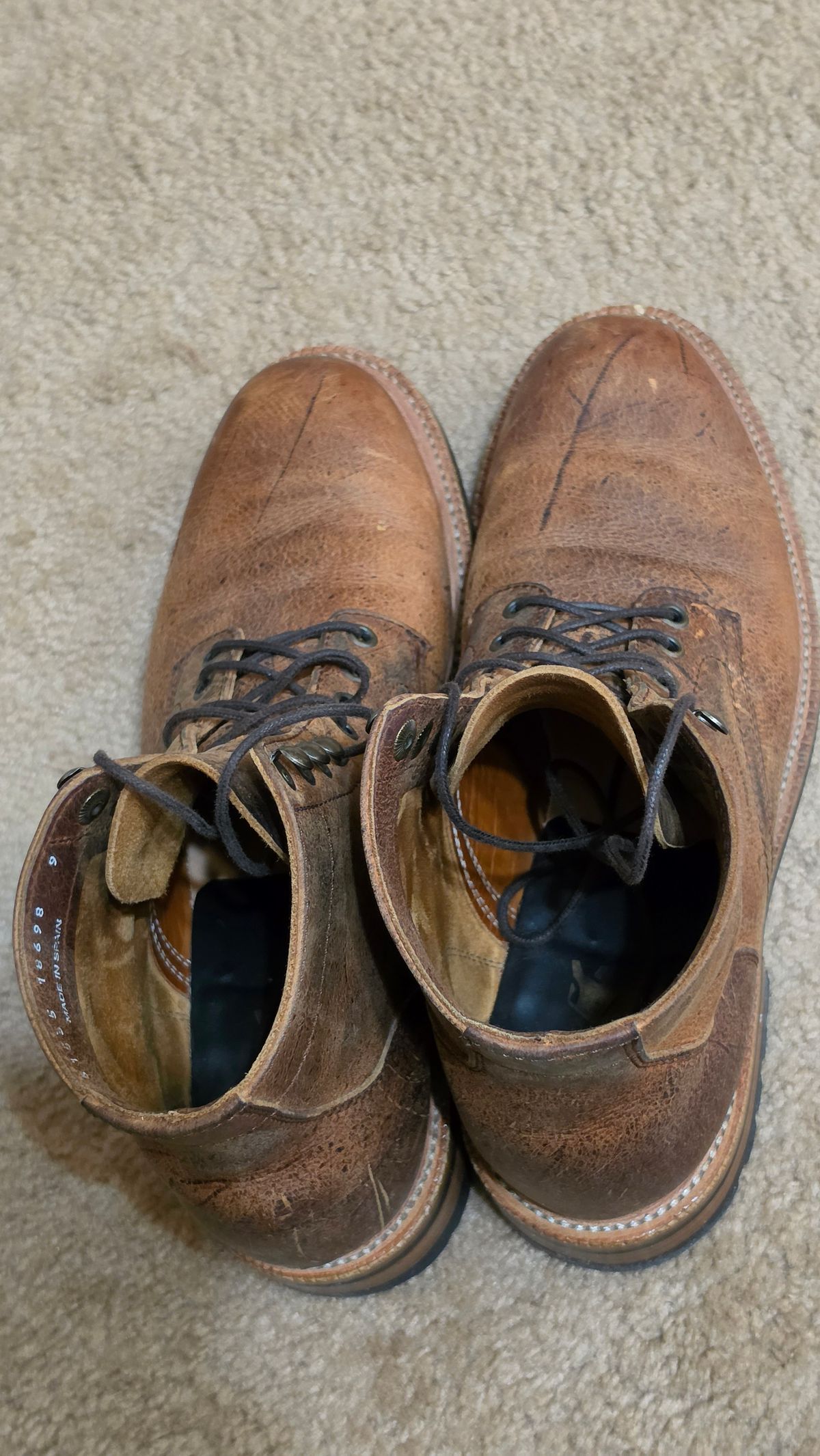 Photo by mknewman on March 16, 2026 of the Parkhurst The Allen in C.F. Stead Anise Kudu.