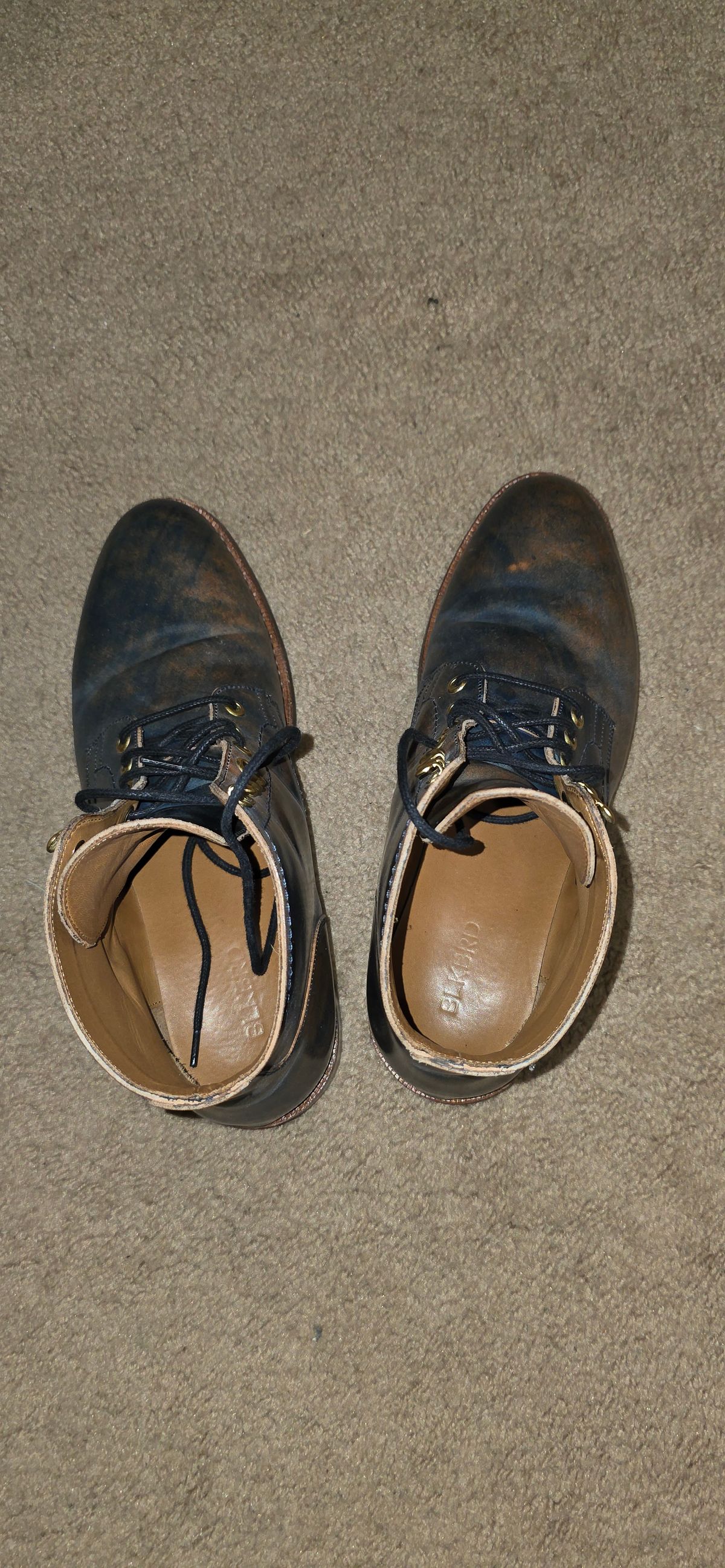 Photo by mknewman on November 23, 2025 of the Blkbrd Shoemaker Ocean in Rocado - "Marbled" Shell Cordovan - Veg Tanned (Ocean).