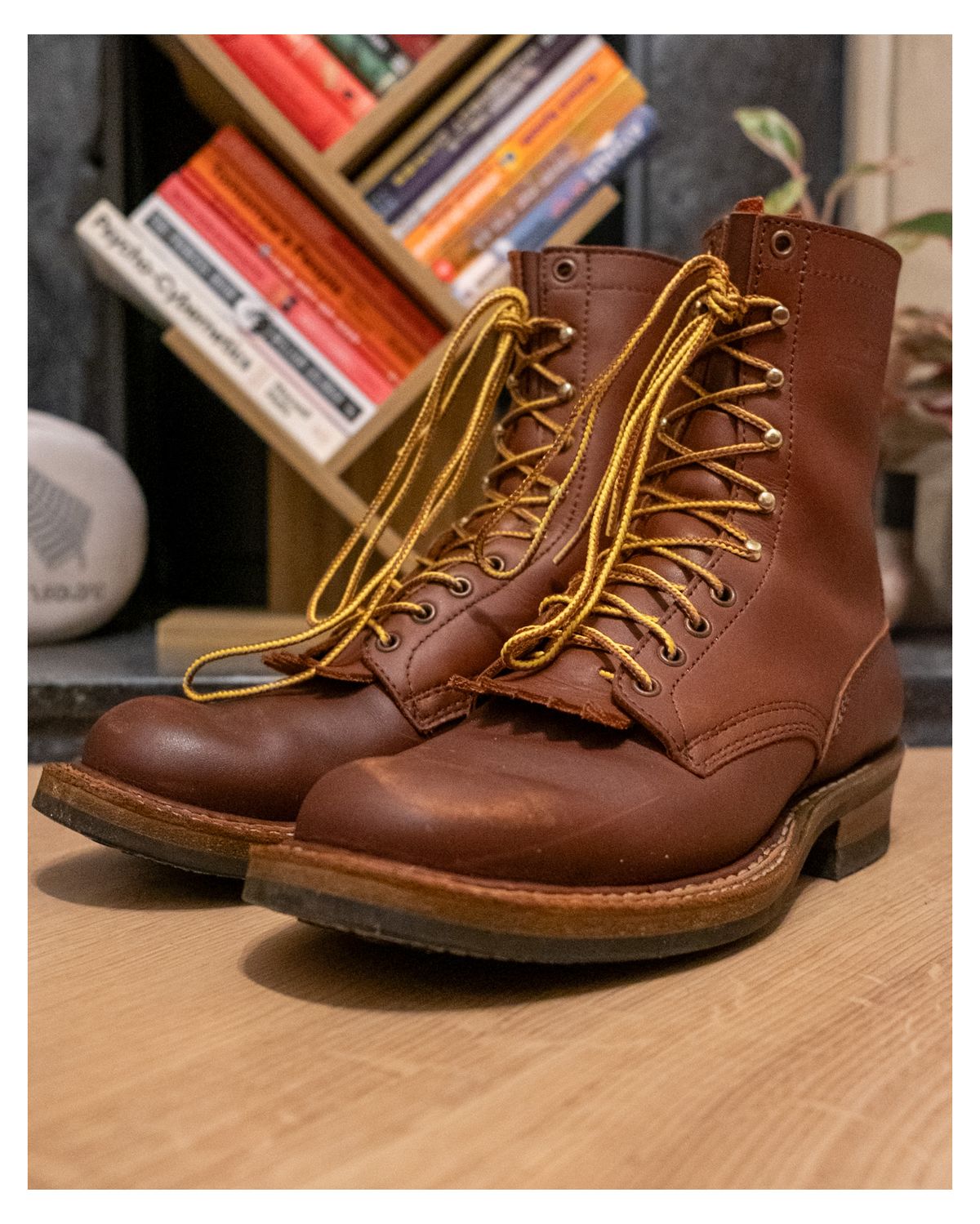 Photo by zenniszarkov on November 4, 2025 of the White's Farmer/Rancher in Seidel Red Dog Oil Tan.