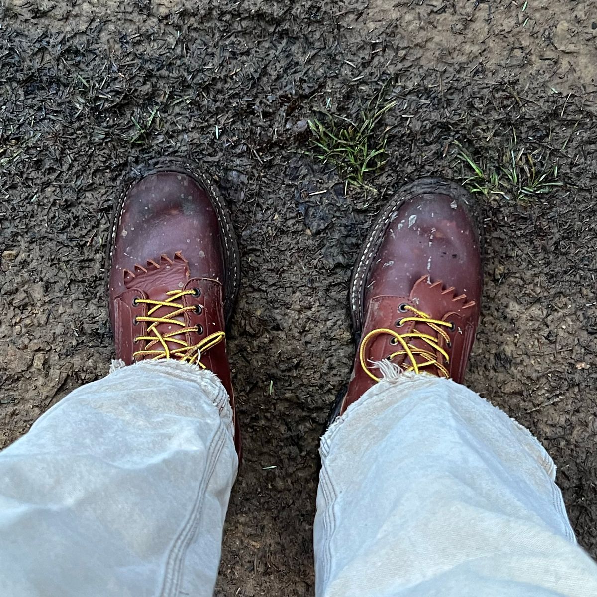 Photo by zenniszarkov on December 10, 2025 of the White's Farmer/Rancher in Seidel Red Dog Oil Tan.