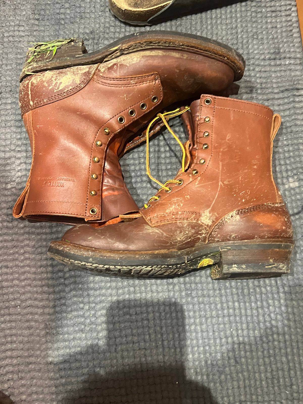 Photo by zenniszarkov on December 10, 2025 of the White's Farmer/Rancher in Seidel Red Dog Oil Tan.