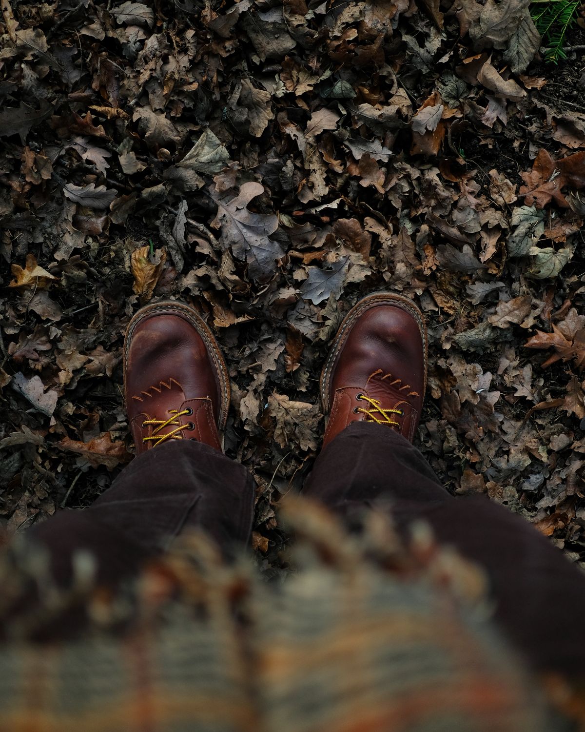 Photo by zenniszarkov on December 25, 2025 of the White's Farmer/Rancher in Seidel Red Dog Oil Tan.