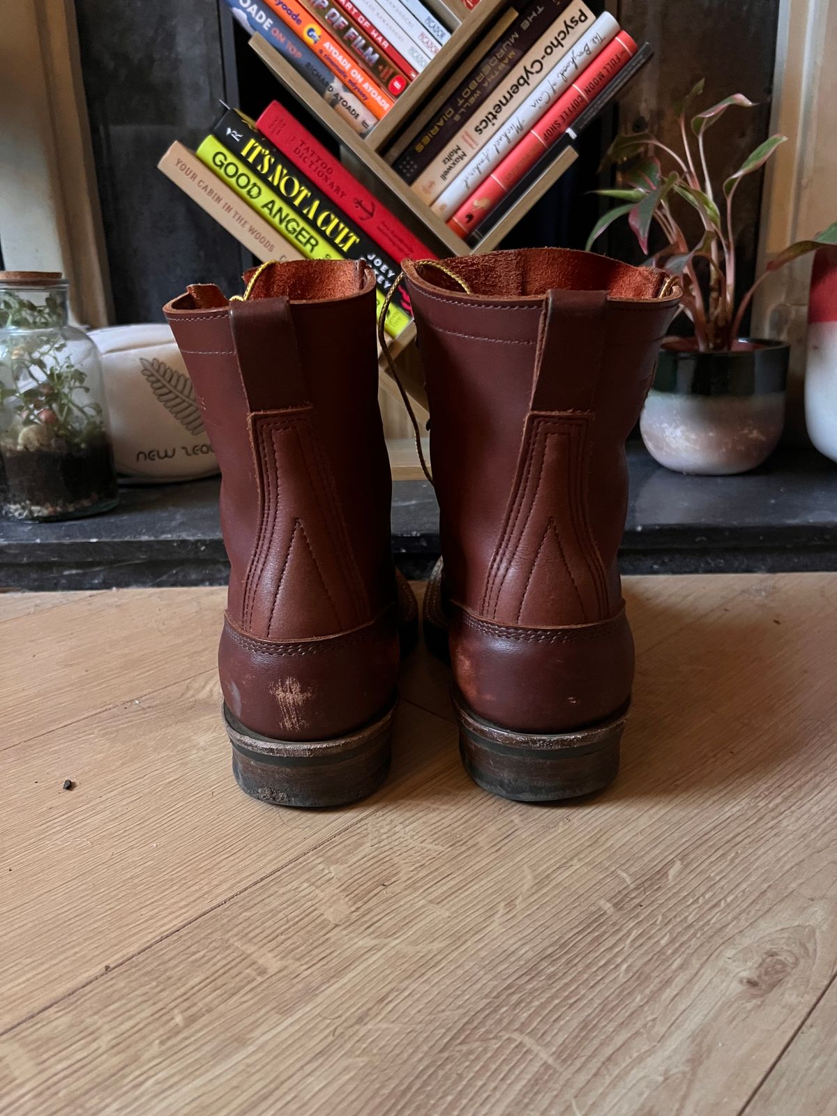 Photo by zenniszarkov on January 4, 2026 of the White's Farmer/Rancher in Seidel Red Dog Oil Tan.