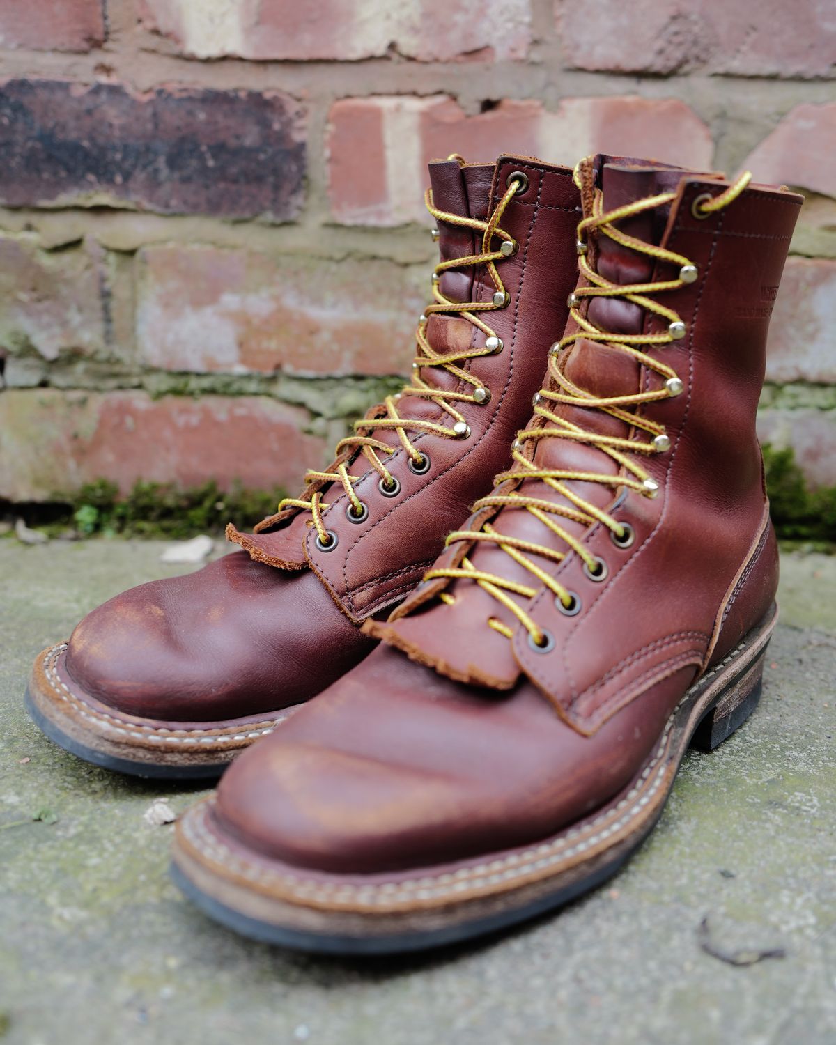 Photo by zenniszarkov on April 2, 2026 of the White's Farmer/Rancher in Seidel Red Dog Oil Tan.