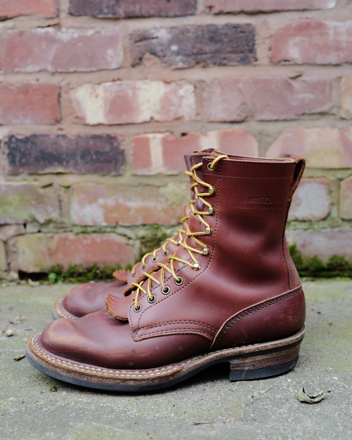 Photo by zenniszarkov on April 2, 2026 of the White's Farmer/Rancher in Seidel Red Dog Oil Tan.