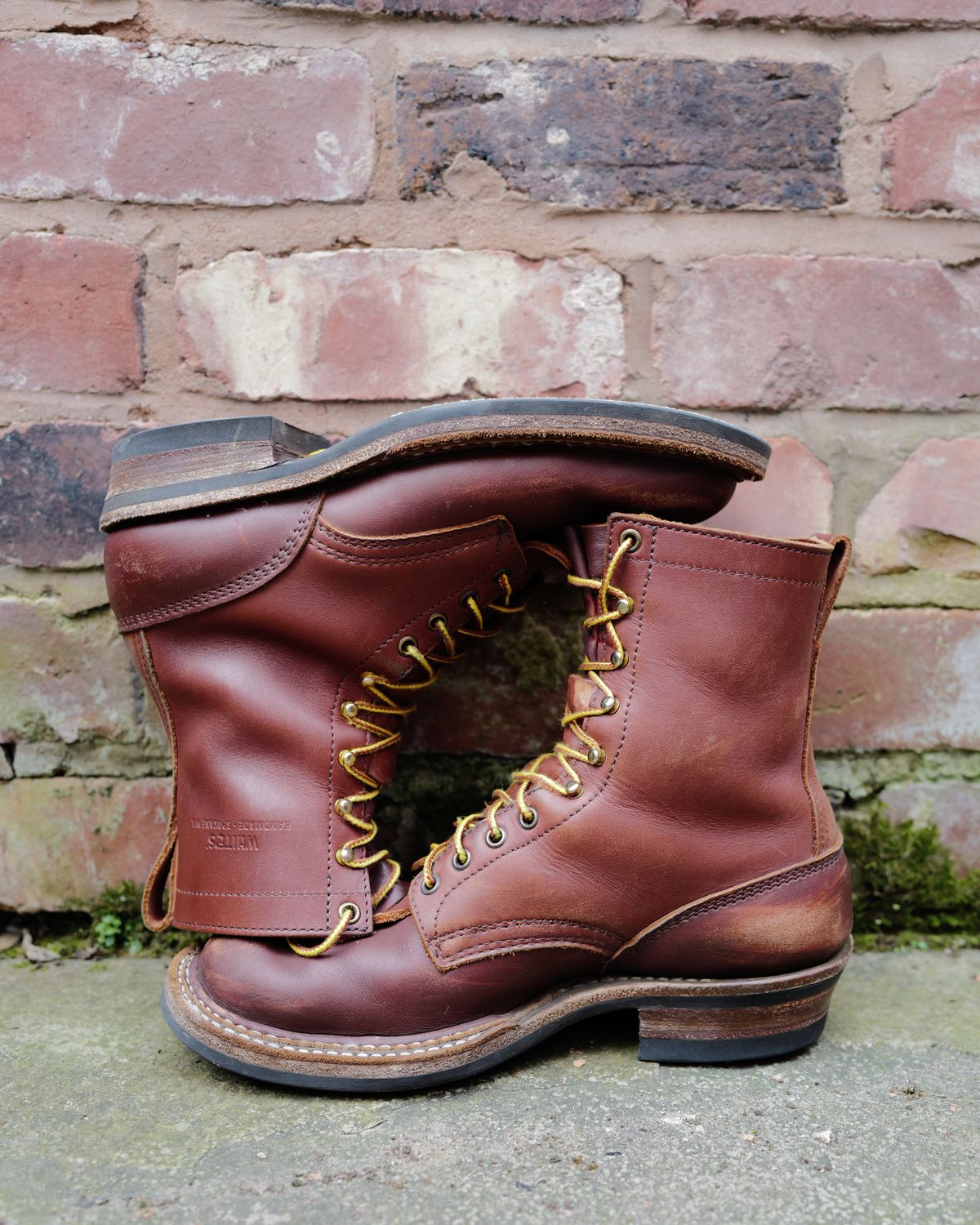 Photo by zenniszarkov on April 2, 2026 of the White's Farmer/Rancher in Seidel Red Dog Oil Tan.