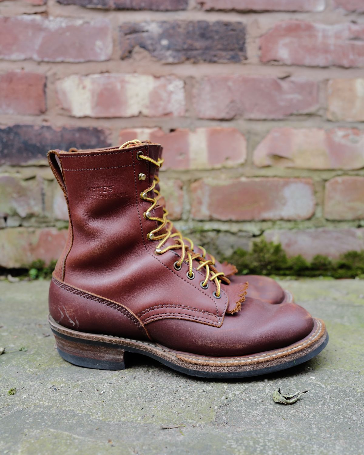 Photo by zenniszarkov on April 2, 2026 of the White's Farmer/Rancher in Seidel Red Dog Oil Tan.