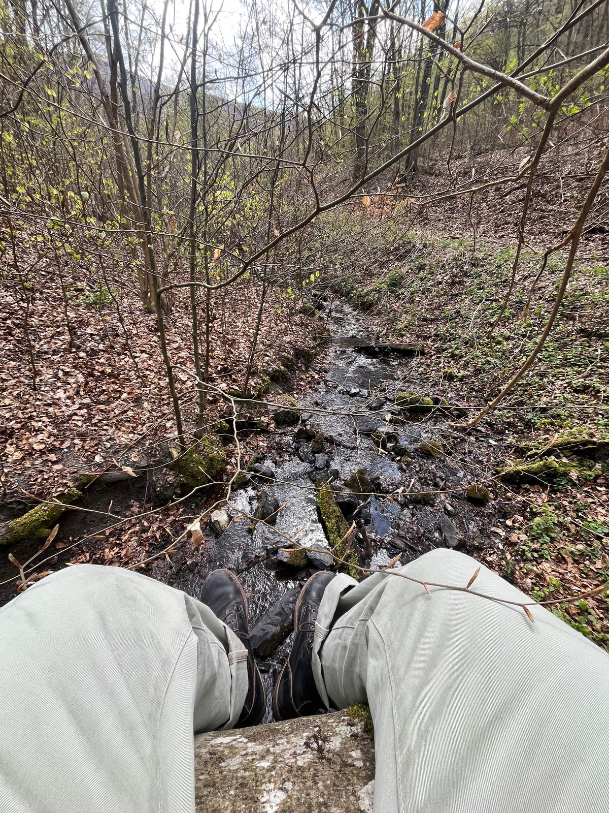 Photo by ambulambu on April 11, 2026 of the Truman Plain Toe Boot in Seidel Charcoal Double Shot.