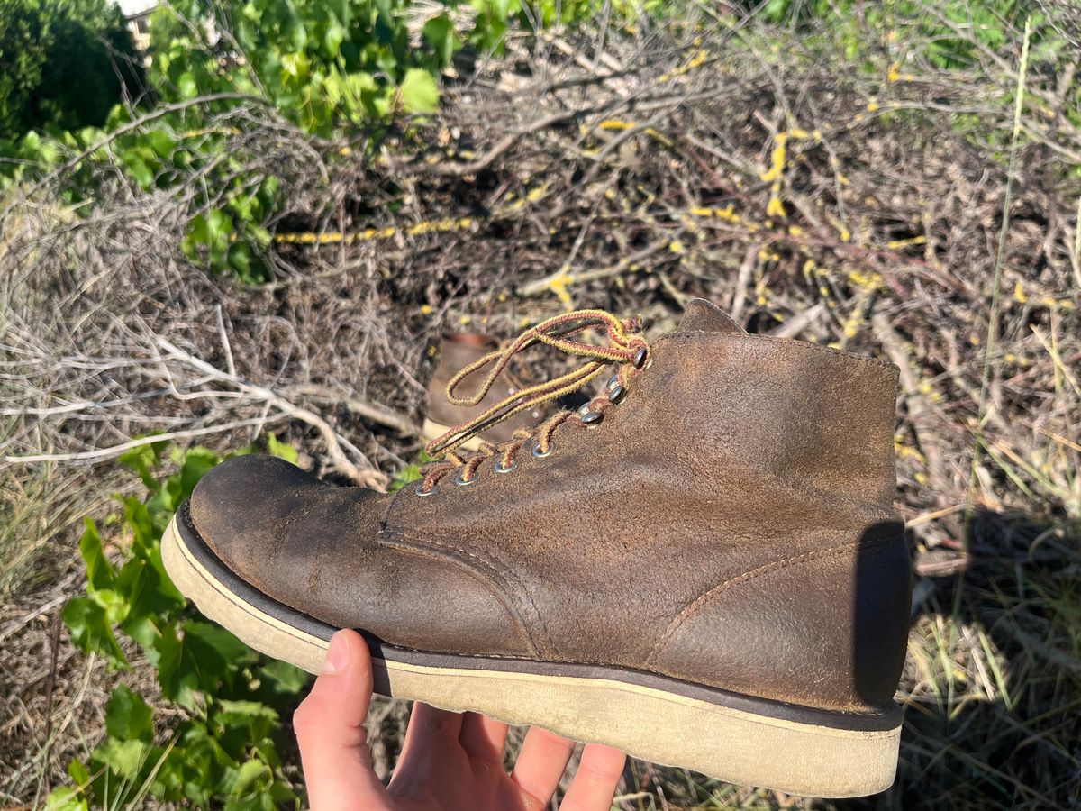 Photo by ambulambu on June 22, 2026 of the Red Wing 8181 in S.B. Foot Hawthorne Muleskinner.