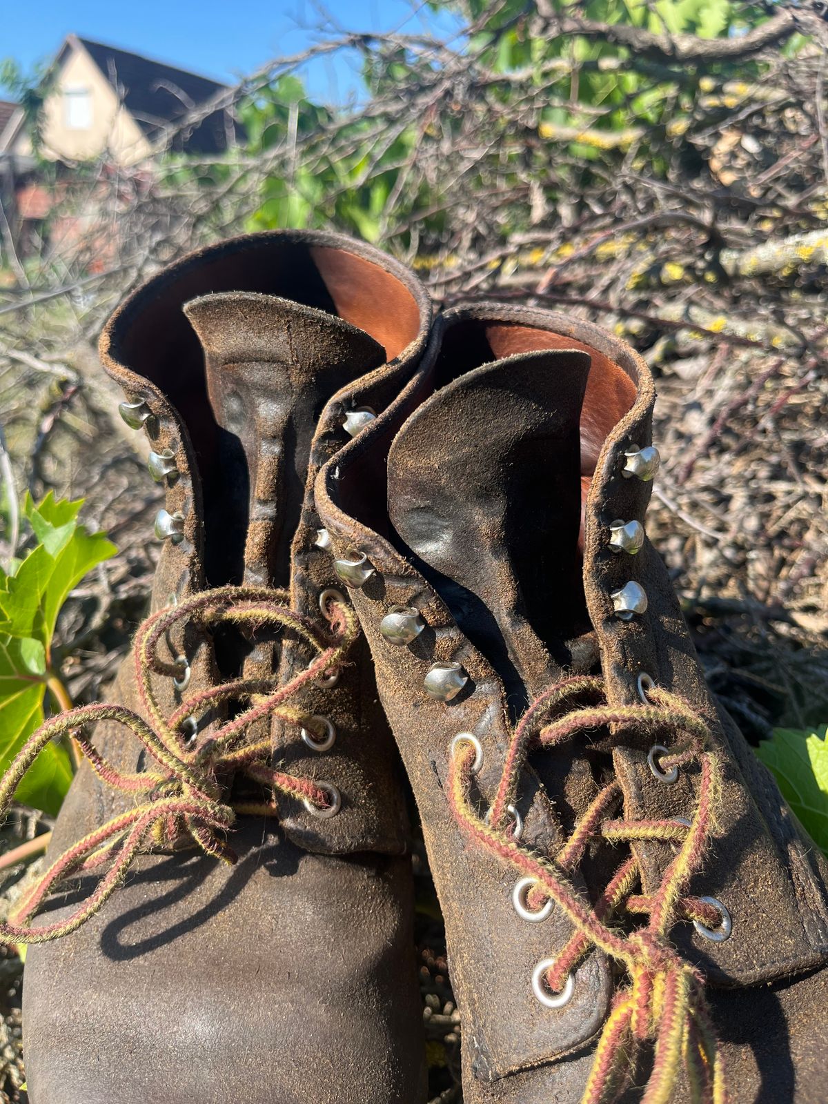 Photo by ambulambu on June 22, 2026 of the Red Wing 8181 in S.B. Foot Hawthorne Muleskinner.