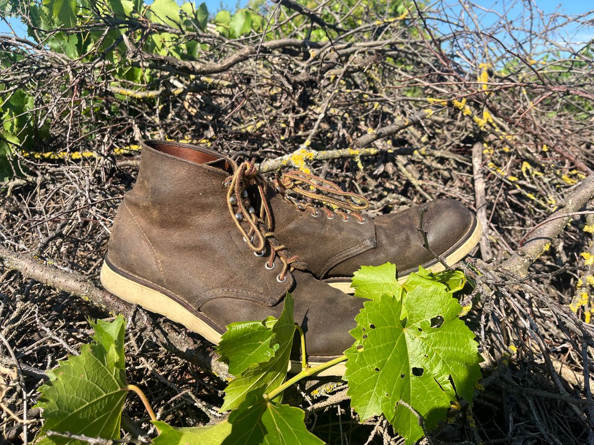 Photo by ambulambu on June 22, 2026 of the Red Wing 8181 in S.B. Foot Hawthorne Muleskinner.
