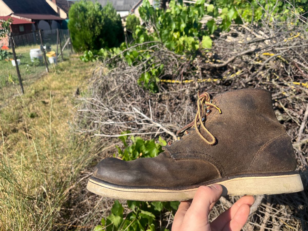 Photo by ambulambu on June 22, 2026 of the Red Wing 8181 in S.B. Foot Hawthorne Muleskinner.