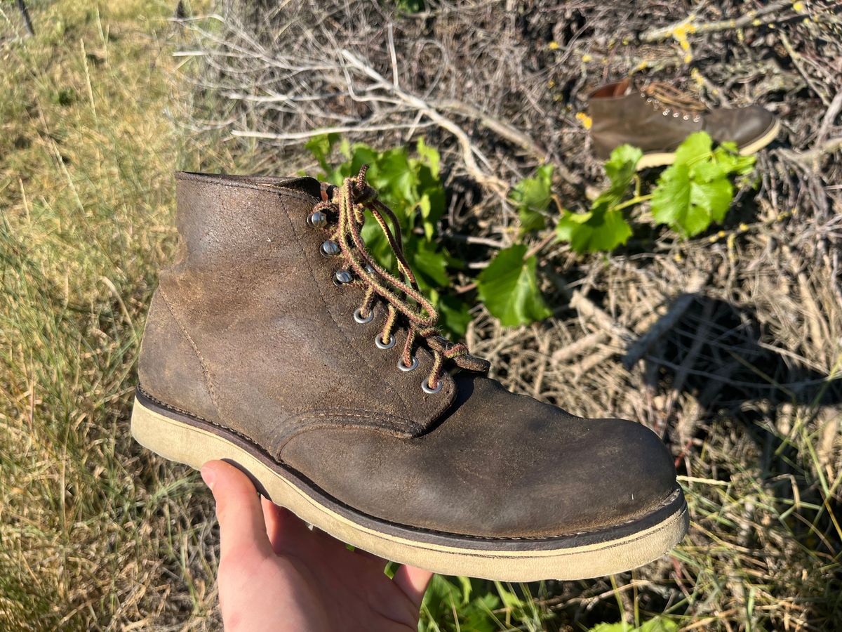 Photo by ambulambu on June 22, 2026 of the Red Wing 8181 in S.B. Foot Hawthorne Muleskinner.