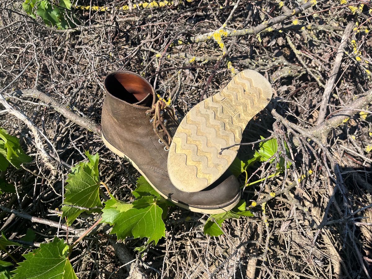 Photo by ambulambu on June 22, 2026 of the Red Wing 8181 in S.B. Foot Hawthorne Muleskinner.