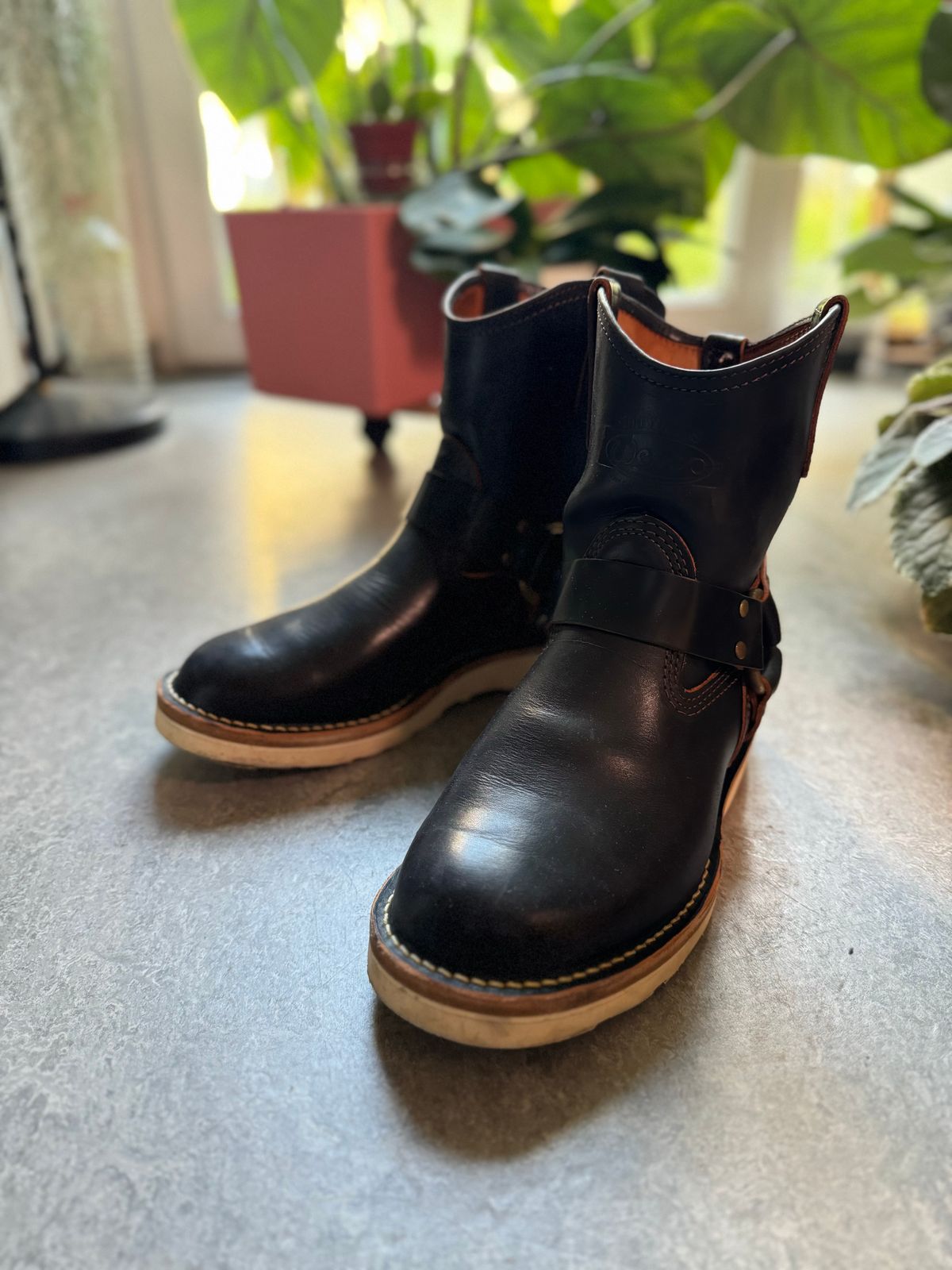 Photo by Sebekhetep on June 27, 2024 of the Wesco x the Shop Shorty Mo in Maryam Black Horsehide.