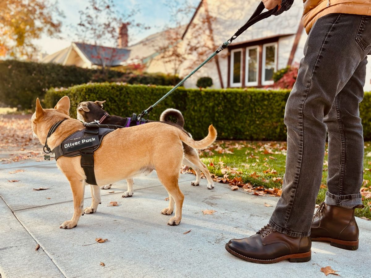Photo by LeeRoss on November 29, 2024 of the Al's Attire Hand Made Type 1 Service Boot in Horween Brown Chromexcel Horsehide.