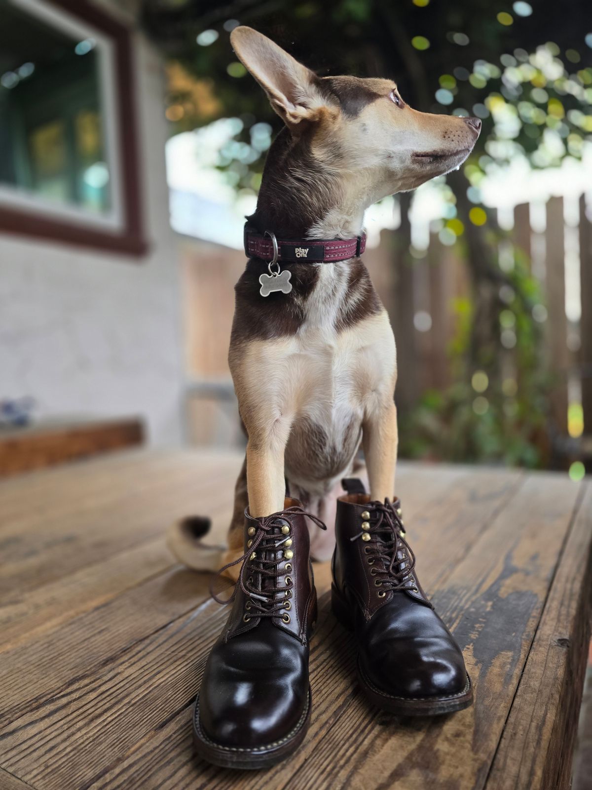 Photo by LeeRoss on February 1, 2025 of the Al's Attire Hand Made Type 1 Service Boot in Horween Brown Chromexcel Horsehide.