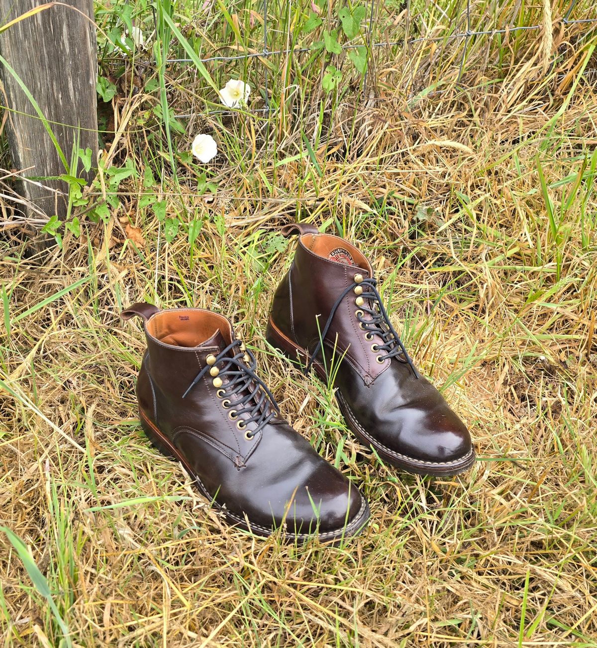 Photo by LeeRoss on June 9, 2025 of the Al's Attire Hand Made Type 1 Service Boot in Horween Brown Chromexcel Horsehide.