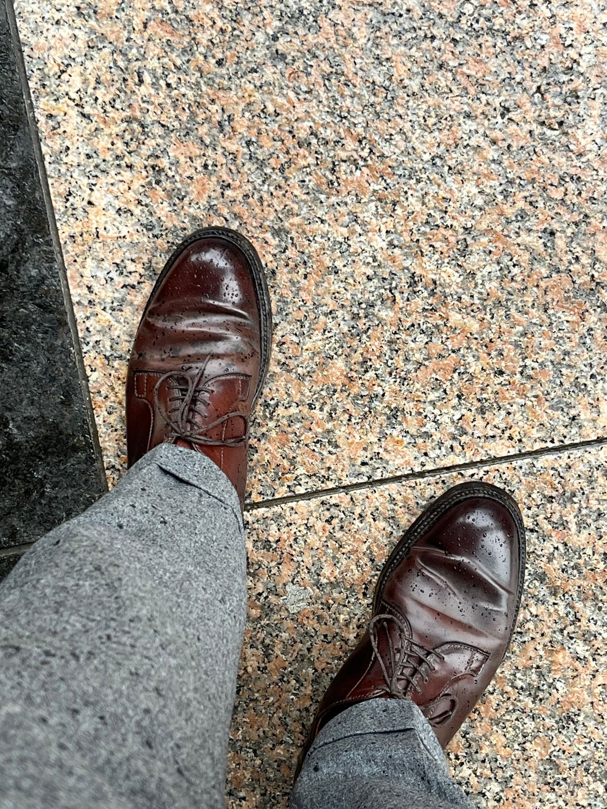 Photo by MukMukSifu on May 1, 2025 of the Alden Plain Toe Blucher in Horween Color 8 Shell Cordovan.