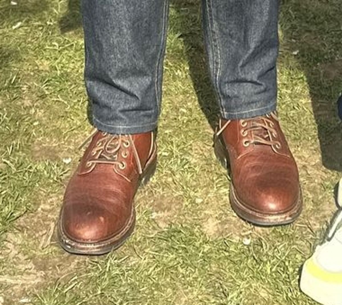 Photo by LaserKiwi on April 20, 2025 of the Grant Stone Diesel Boot in Seidel Walnut Bison.
